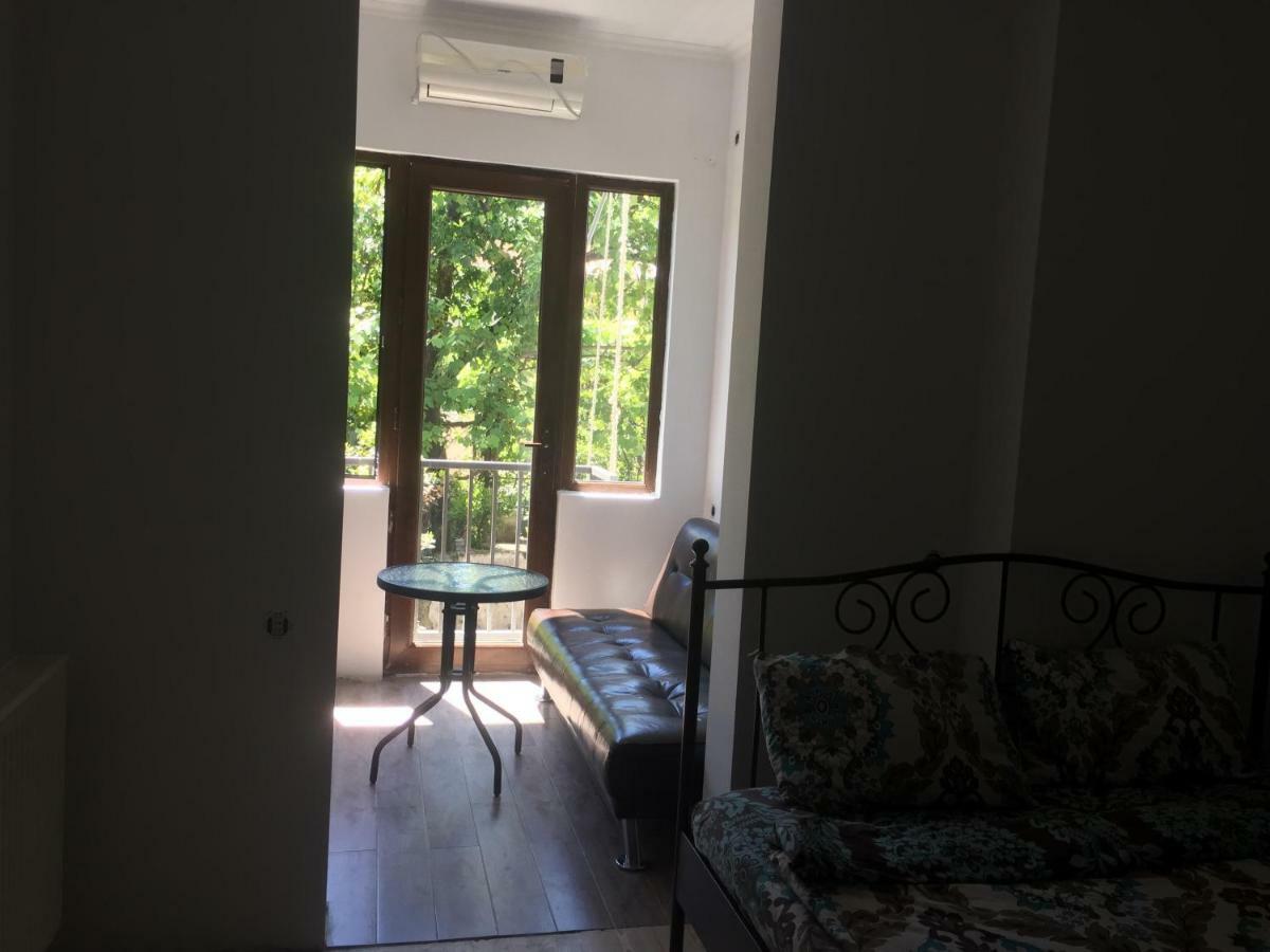 Gulnasi'S Guesthouse バトゥーミ エクステリア 写真